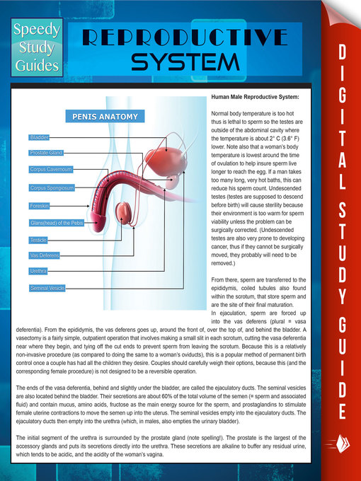 Cover image for Reproductive System